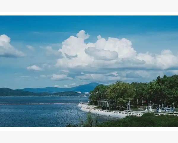 呼吸穴位的三伏贴：舒缓身心，平衡能量的古老智慧