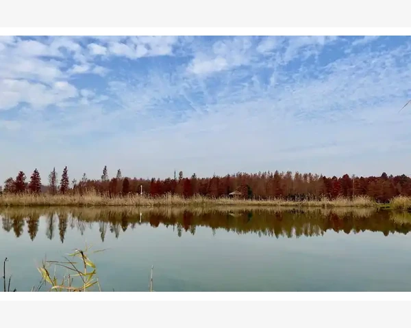 高级会计师与CPA双证选择职业进阶之路